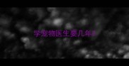 学宠物医生要几年