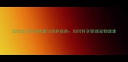 边牧成犬标准体重与饲养指南如何科学管理宠物健康