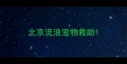 北京流浪宠物救助