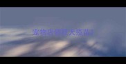宠物店领狂犬疫苗