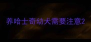 养哈士奇幼犬需要注意