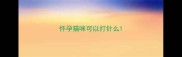怀孕猫咪可以打针么