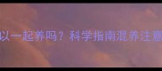 金毛和哈士奇可以一起养吗科学指南混养注意事项与相处技巧