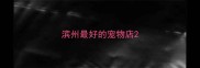 滨州最好的宠物店