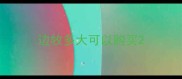 边牧多大可以购买