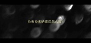 拉布拉多绝育后怎么尿
