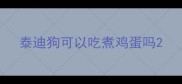 泰迪狗可以吃煮鸡蛋吗