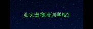 汕头宠物培训学校