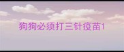 狗狗必须打三针疫苗
