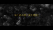 哈士奇小狗一天大便几