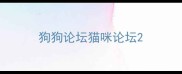 狗狗论坛猫咪论坛