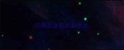 拉布拉多幼犬和长大