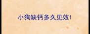 小狗缺钙多久见效