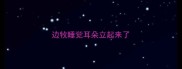 边牧睡觉耳朵立起来了