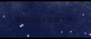 边牧咖啡金边哪个贵