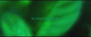 哈士奇必须洗澡吹干吗