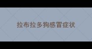 拉布拉多狗感冒症状
