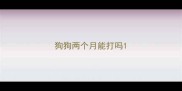 狗狗两个月能打吗