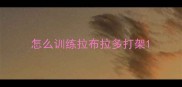 怎么训练拉布拉多打架