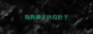 狗狗鼻子热拉肚子