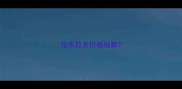拉布拉多价格指数