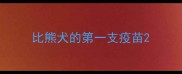 比熊犬的第一支疫苗