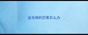 金毛喘的厉害怎么办