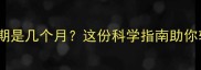 泰迪幼犬训练黄金期是几个月这份科学指南助你轻松养出聪明狗狗