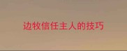 边牧信任主人的技巧