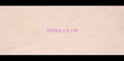 雪纳瑞怎么生小狗