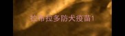 拉布拉多防犬疫苗