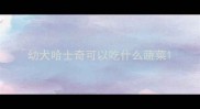 幼犬哈士奇可以吃什么蔬菜