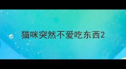 猫咪突然不爱吃东西