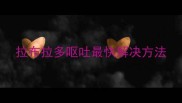拉布拉多呕吐最快解决方法