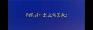 狗狗过年怎么带回家