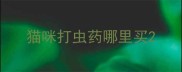 猫咪打虫药哪里买