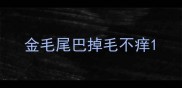 金毛尾巴掉毛不痒