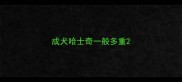 成犬哈士奇一般多重