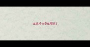 血统哈士奇在哪买