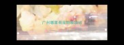 广州哪里有宠物救助站