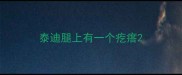 泰迪腿上有一个疙瘩