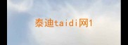 泰迪taidi网