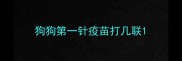 狗狗第一针疫苗打几联