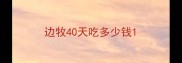 边牧40天吃多少钱