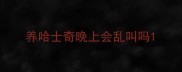 养哈士奇晚上会乱叫吗
