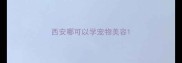 西安哪可以学宠物美容