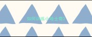如何训练小哈士奇