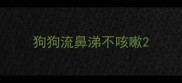 狗狗流鼻涕不咳嗽