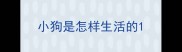 小狗是怎样生活的