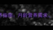 两个月金毛幼犬科学喂养指南月龄营养需求食谱搭配与饲养要点全